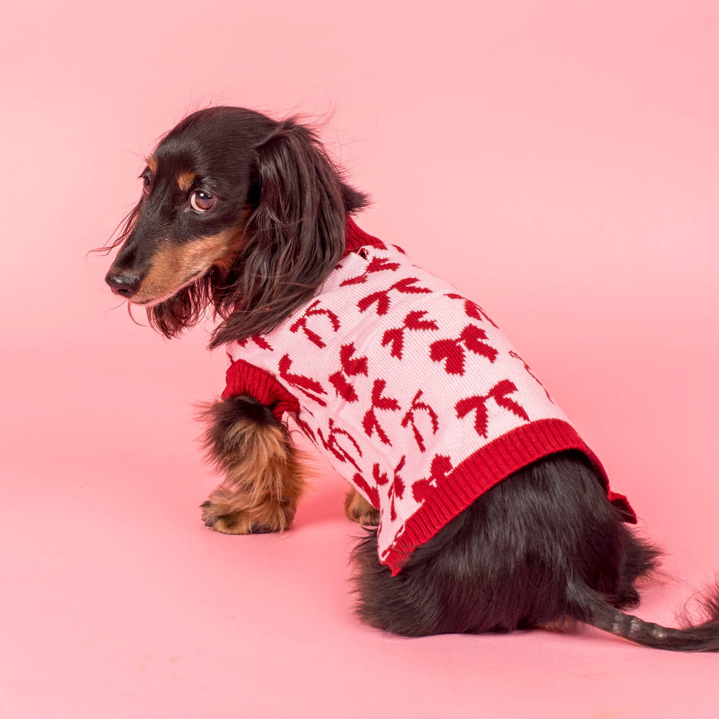 Blush Bows Knit Dog Sweater: S
