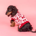 Blush Bows Knit Dog Sweater: S