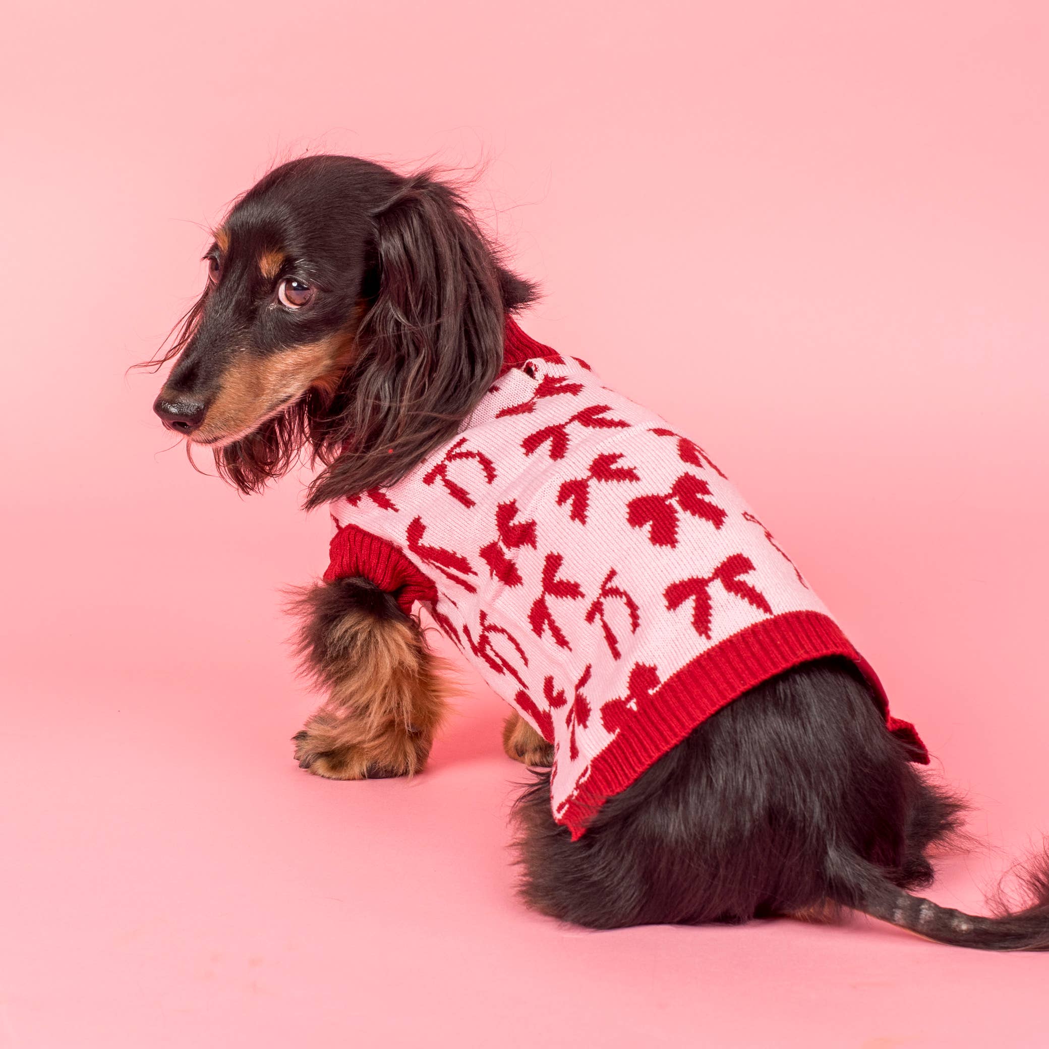 Blush Bows Knit Dog Sweater: S