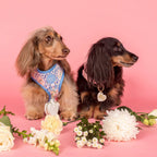 Heart Dog Ring Bearer Pouch