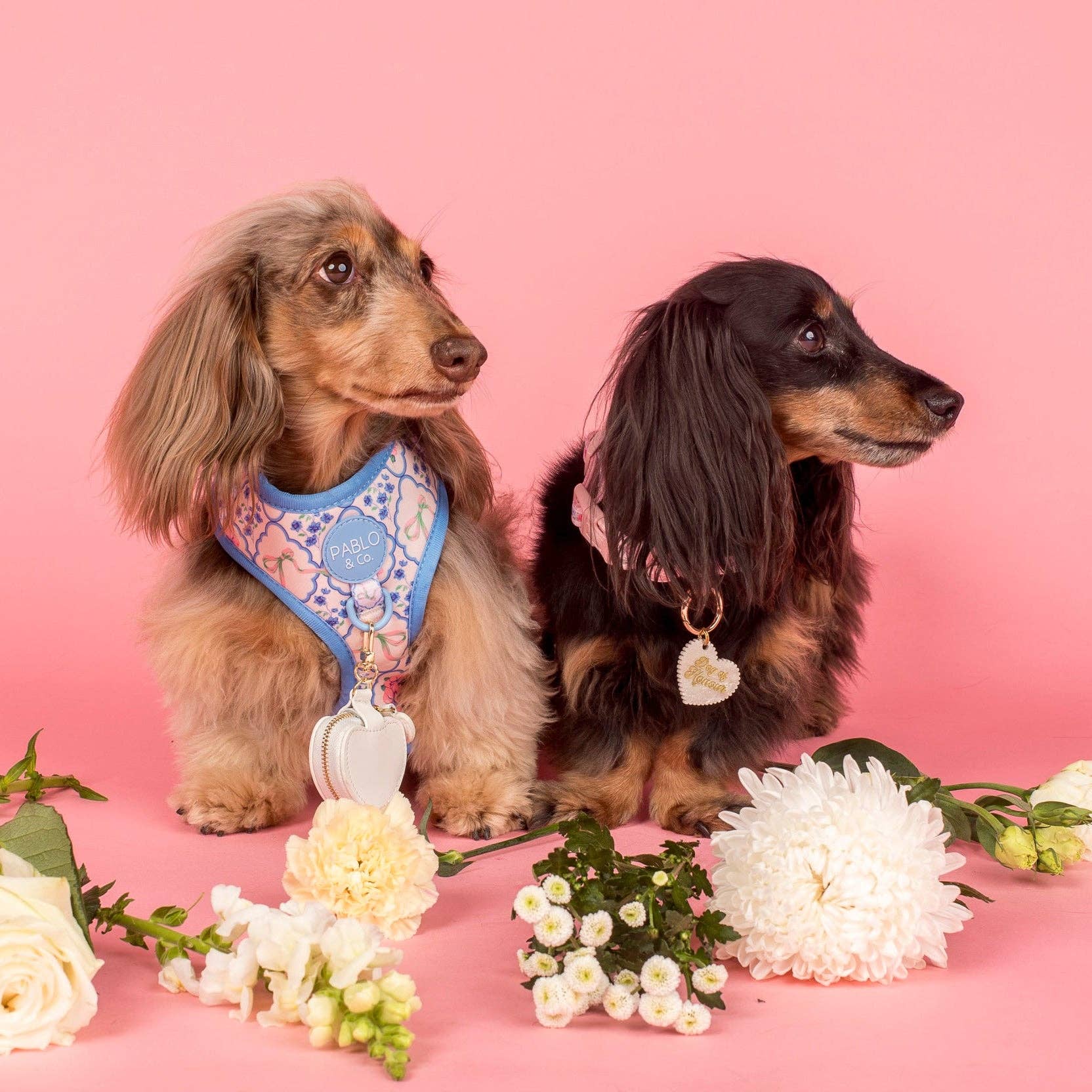 Heart Dog Ring Bearer Pouch