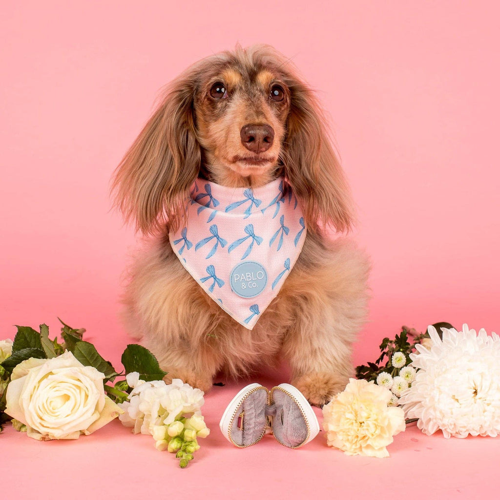 Heart Dog Ring Bearer Pouch