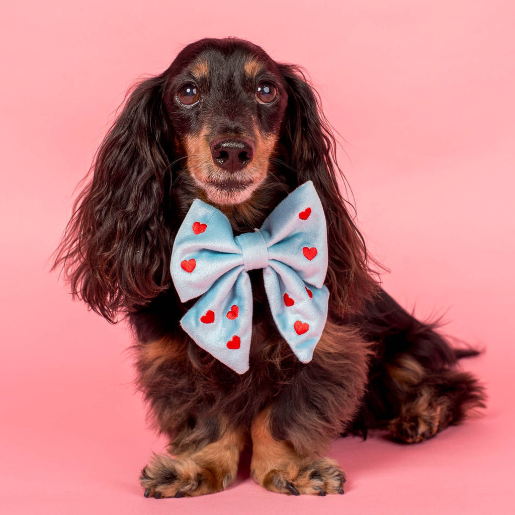 Heart: Velvet Sailor Bow - Blue & Red