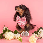 Heart Dog Ring Bearer Pouch