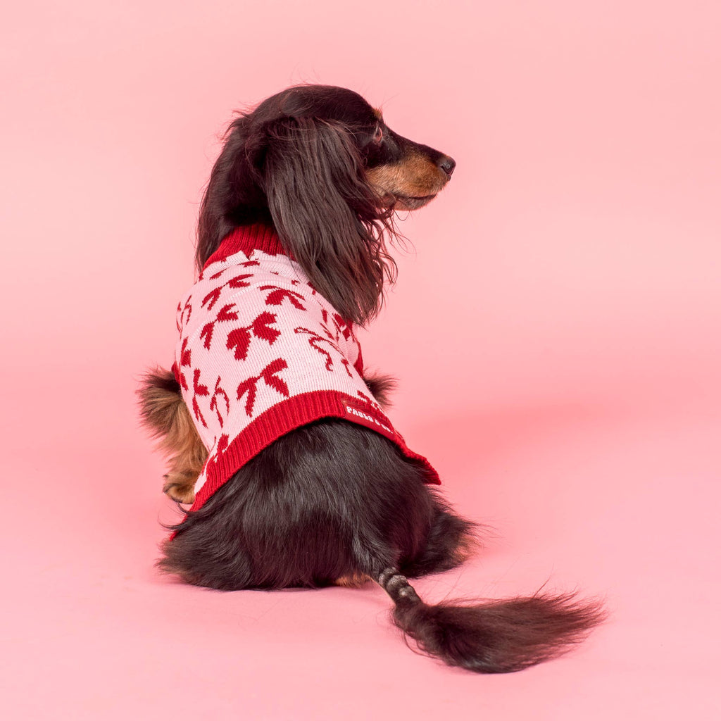 Blush Bows Knit Dog Sweater: M