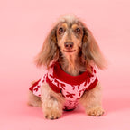 Blush Bows Knit Dog Sweater: S