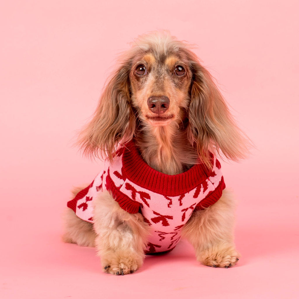 Blush Bows Knit Dog Sweater: M