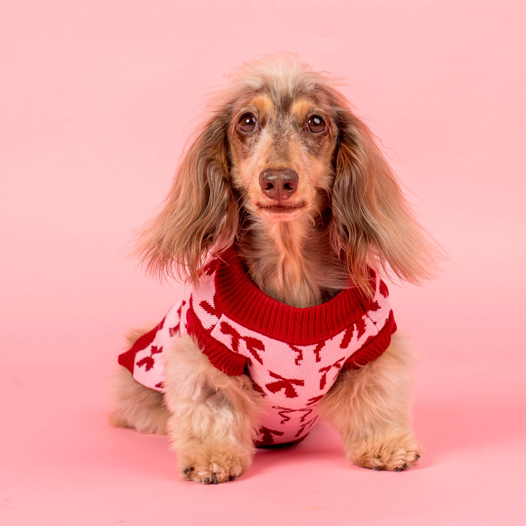 Blush Bows Knit Dog Sweater: M